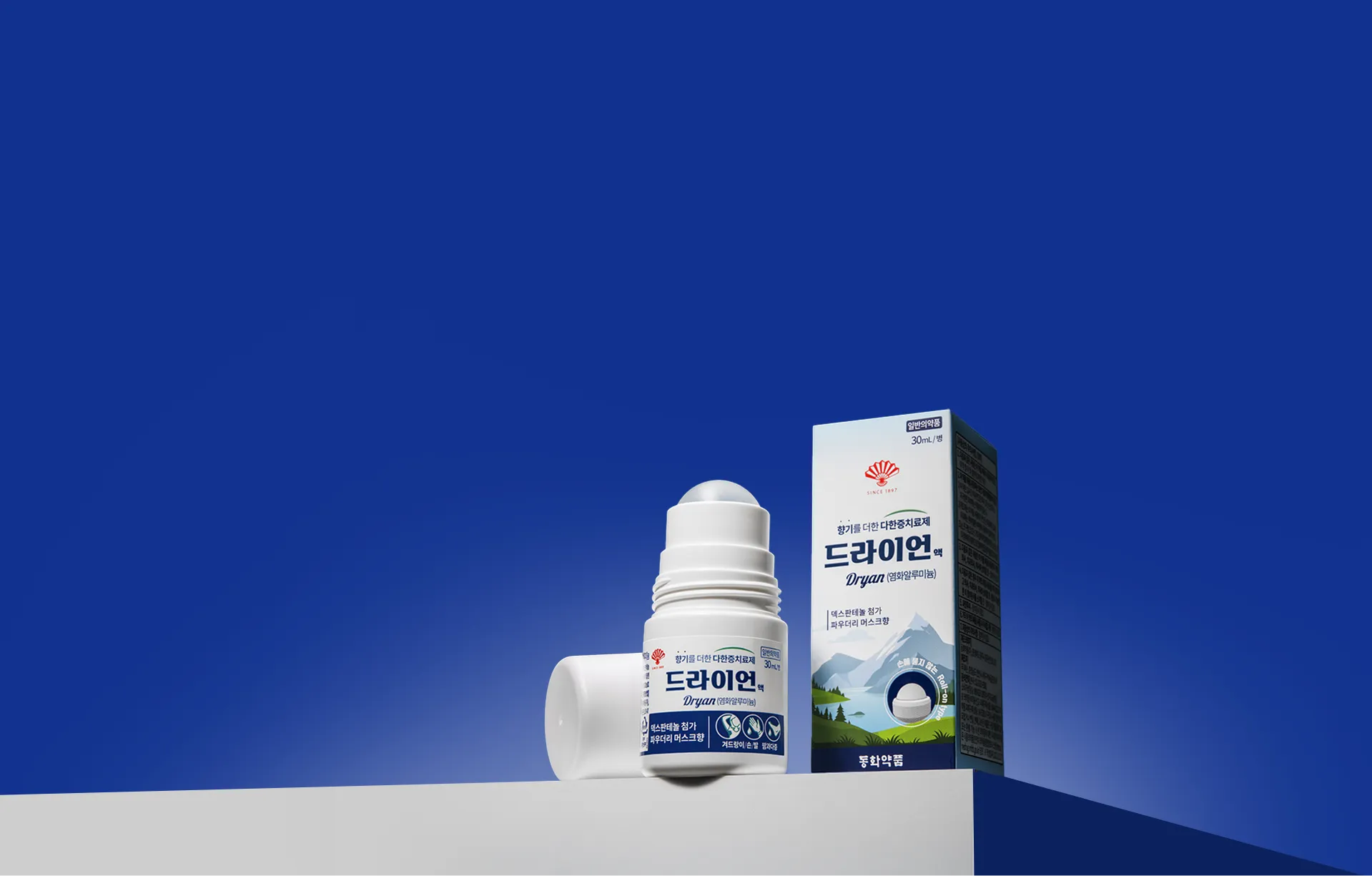 point01 배경