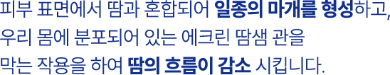 point03 배경